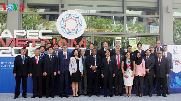 Eröffnung der 1. Konferenz der hochrangigen APEC-Beamten 2017 - ảnh 1